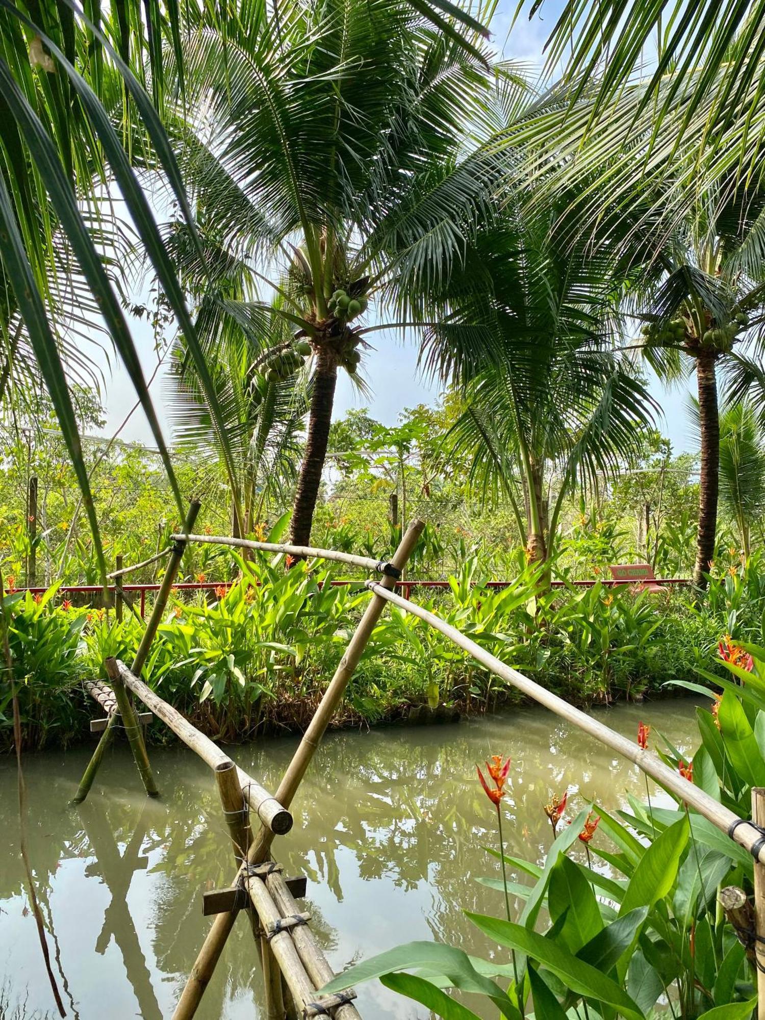 Go Chanh Homestay Cai Rang Kültér fotó